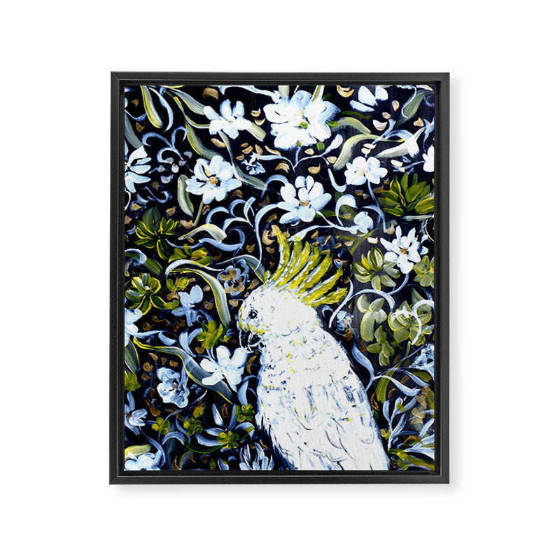 Australia cocktoo  Framed Canvas Print