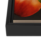 Apples Botanical Art 1 Framed Canvas Print Gallery Image 3
