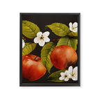 Apples Botanical Art 1 Framed Canvas Print Gallery Image 8