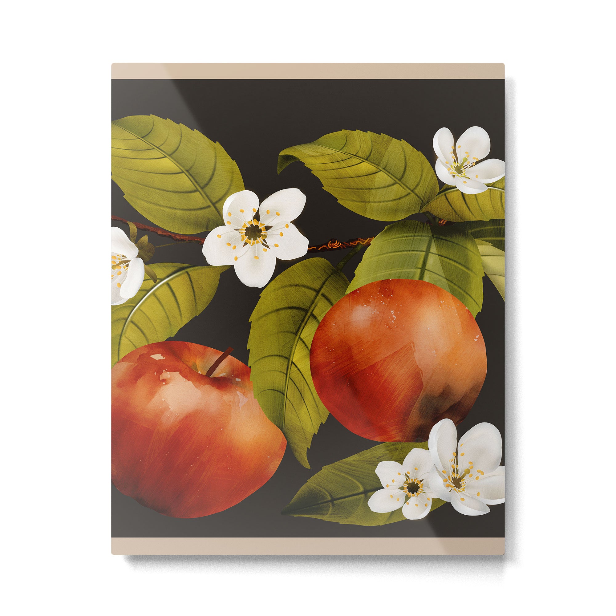 Apples Botanical Art 1 Metal Print Gallery Image 6