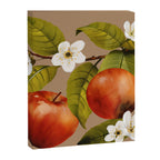 Apples Botanical Art 2 Canvas Print Gallery Image 8