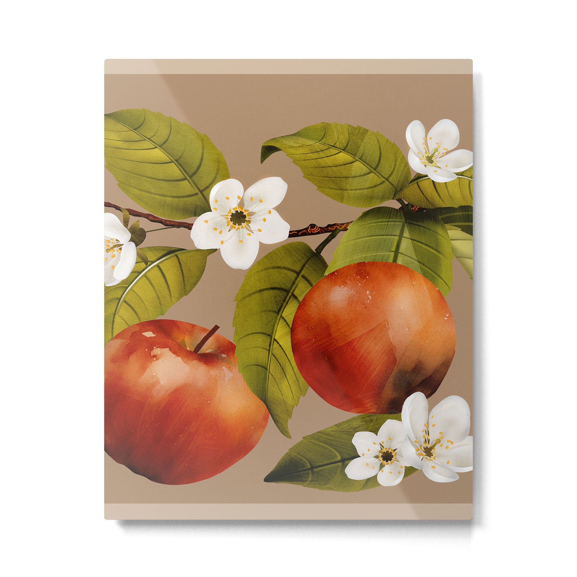 Apples Botanical Art 2 Metal Print Gallery Image 6
