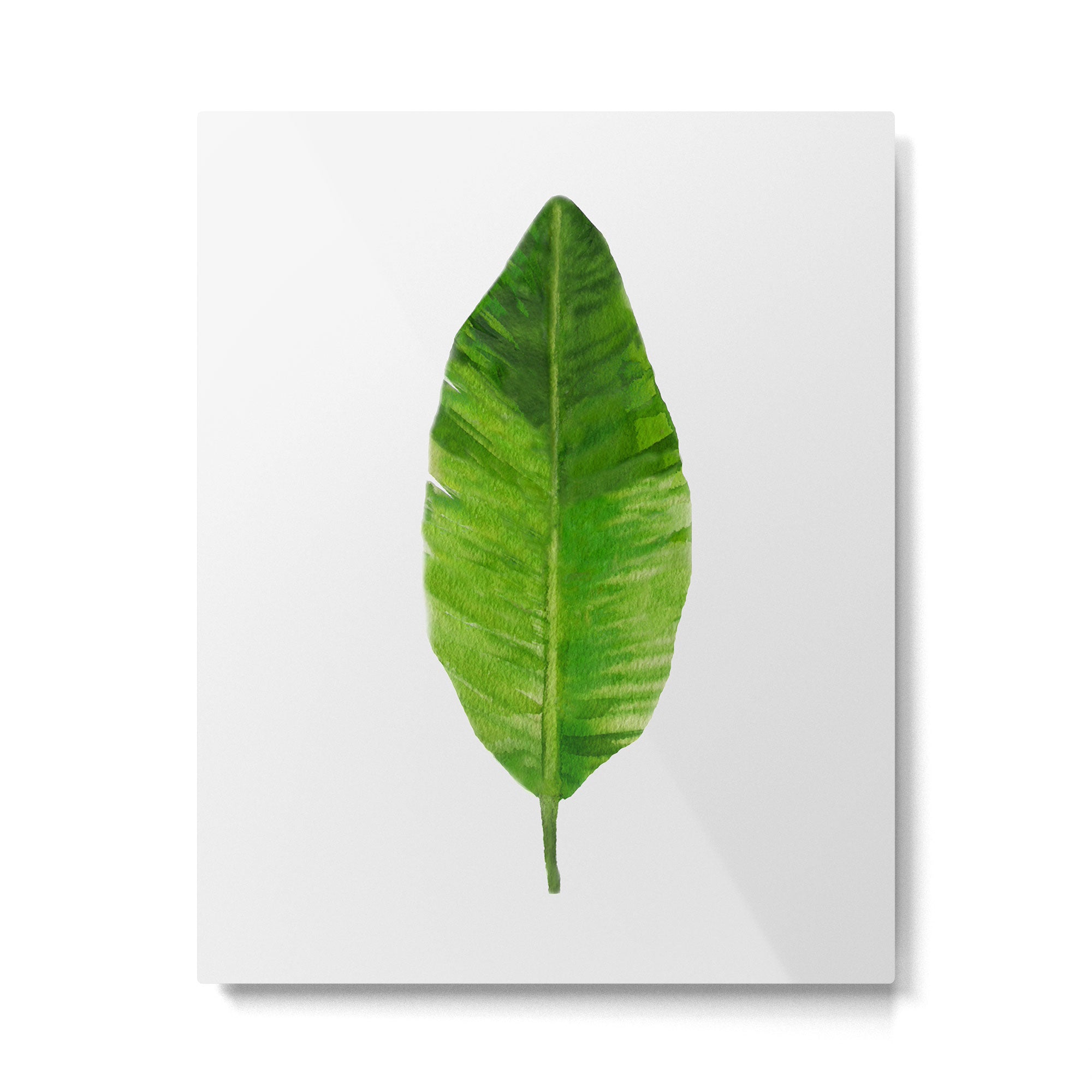 Banana Leaf Metal Print Gallery Image 4