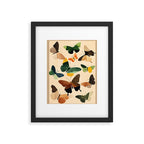 Beautiful Butterflies 1 Framed Art Print Gallery Image 5