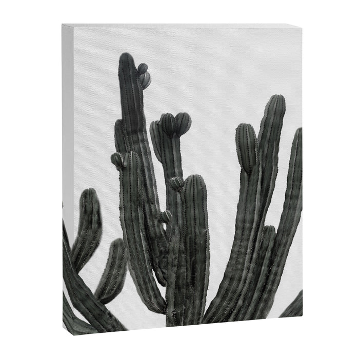 Black and White Cactus Canvas Print Gallery Image 1
