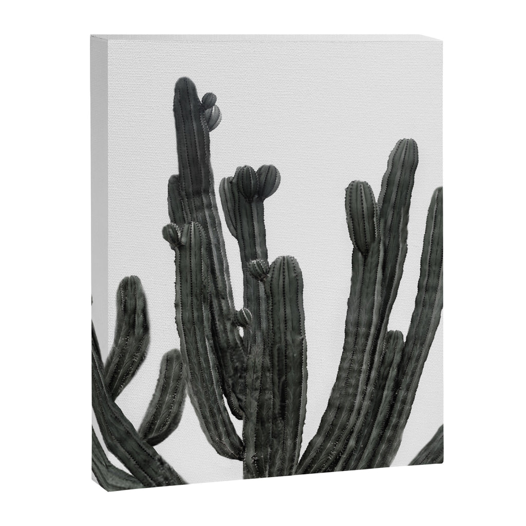 Black and White Cactus Canvas Print Gallery Image 8