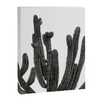 Black and White Cactus Canvas Print Gallery Image 8