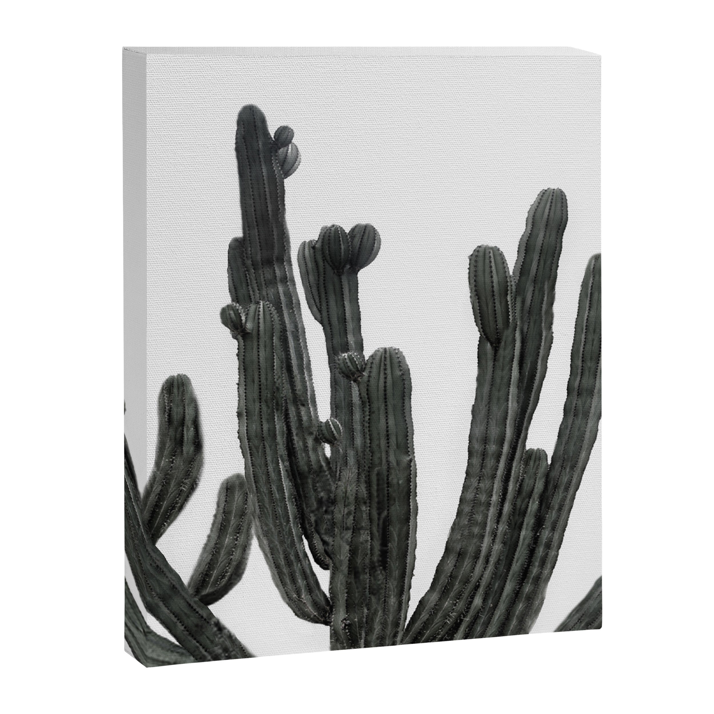 Black and White Cactus Canvas Print Gallery Image 8