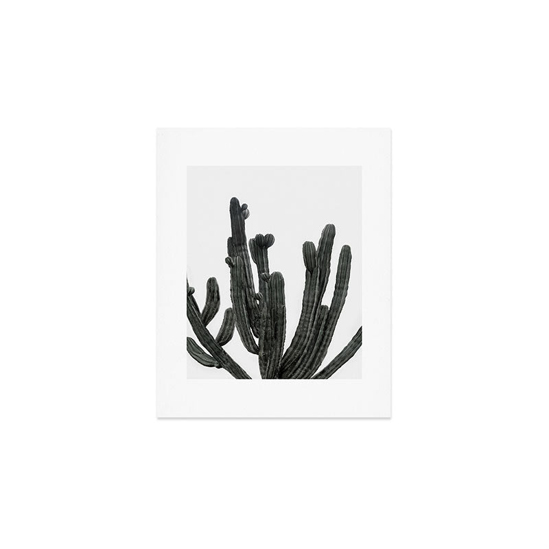 Black and White Cactus Art Print Gallery Image 1