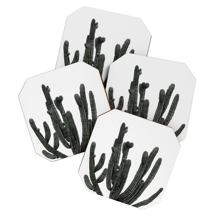Black and White Cactus Coaster Gallery Image 1