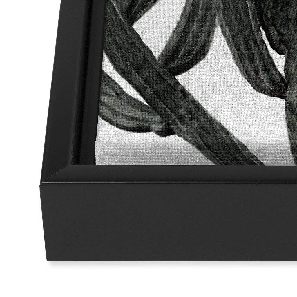 Black and White Cactus Framed Canvas Print Gallery Image 3