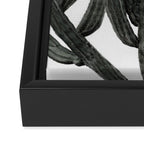 Black and White Cactus Framed Canvas Print Gallery Image 3