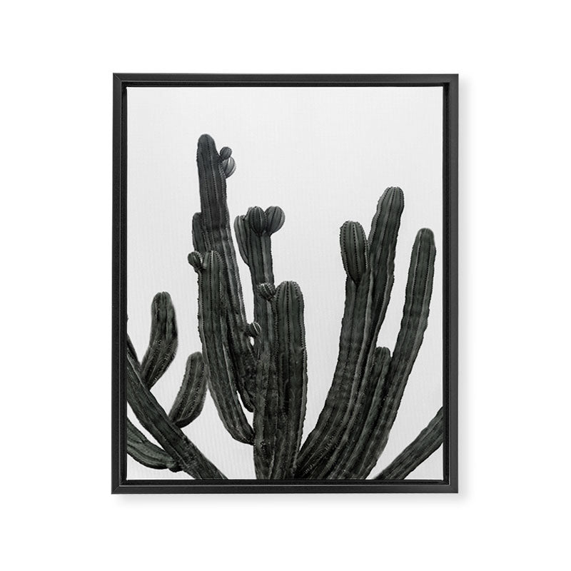Black and White Cactus Framed Canvas Print Gallery Image 8