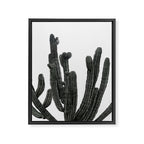 Black and White Cactus Framed Canvas Print Gallery Image 8