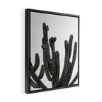 Black and White Cactus Framed Canvas Print Gallery Image 2