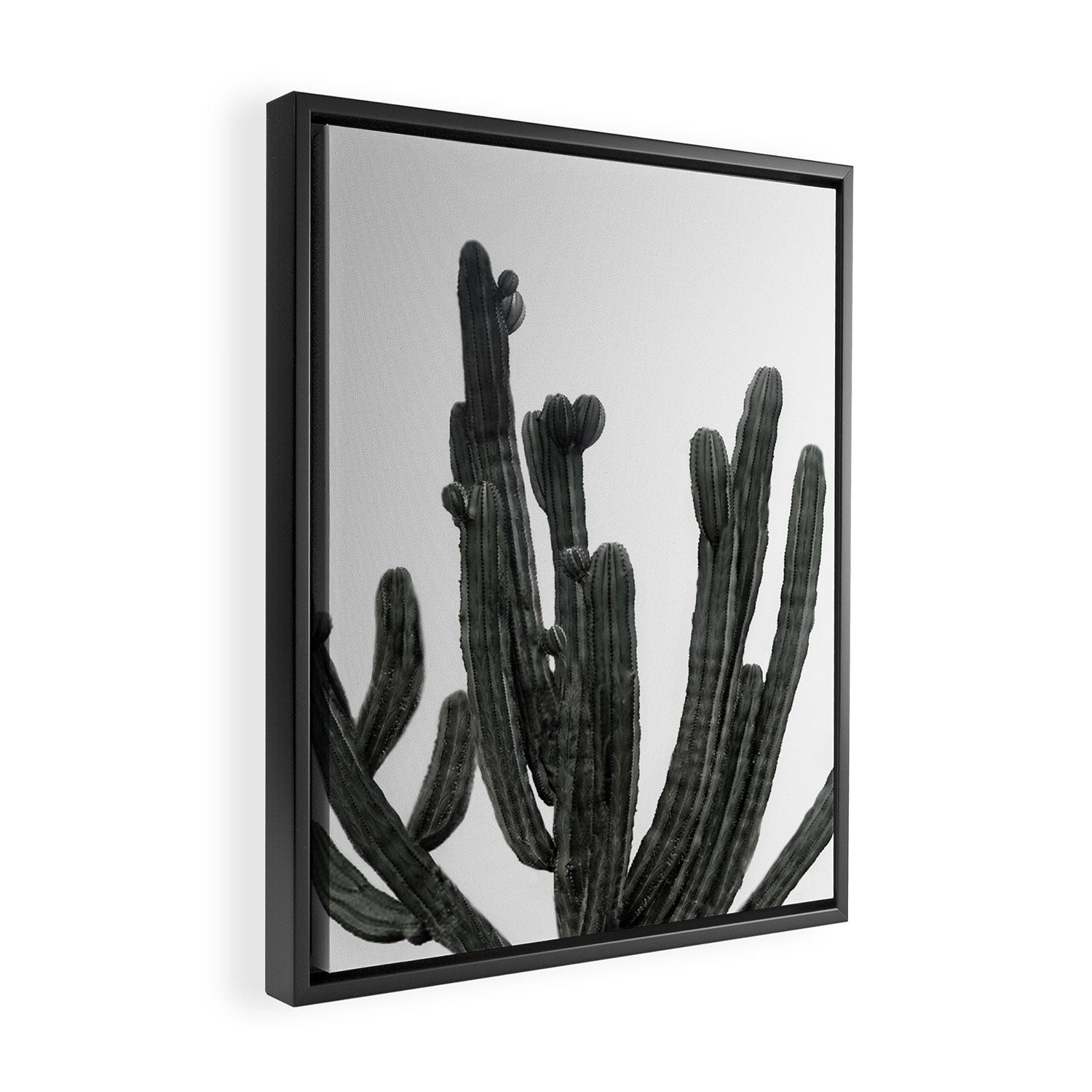 Black and White Cactus Framed Canvas Print Gallery Image 2