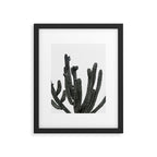 Black and White Cactus Framed Art Print Gallery Image 6