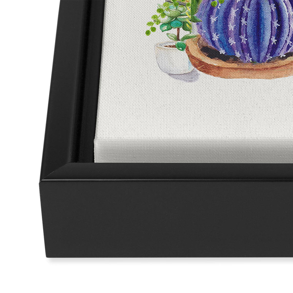 Cactus Garden Framed Canvas Print Gallery Image 3