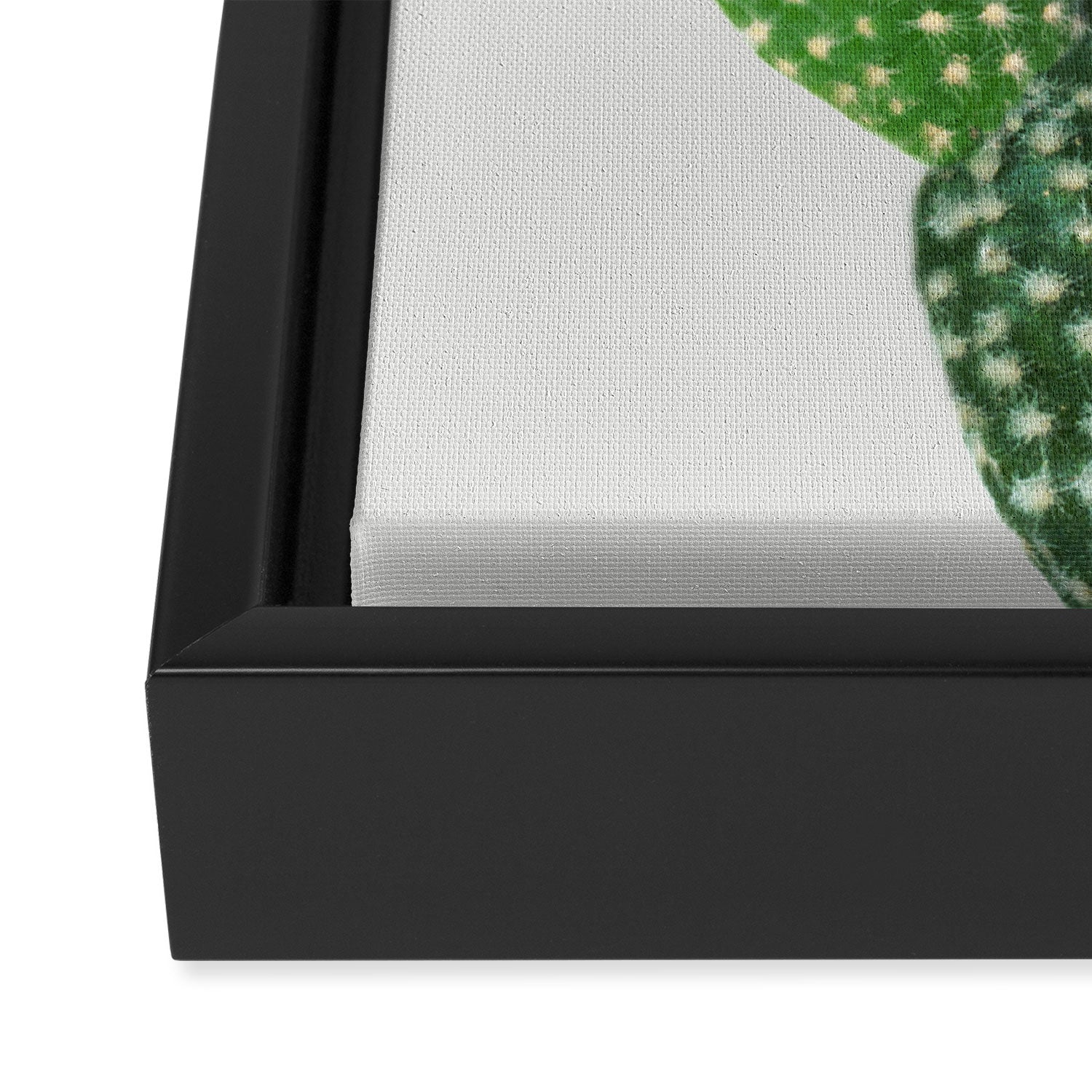 Cactus II Framed Canvas Print Gallery Image 3