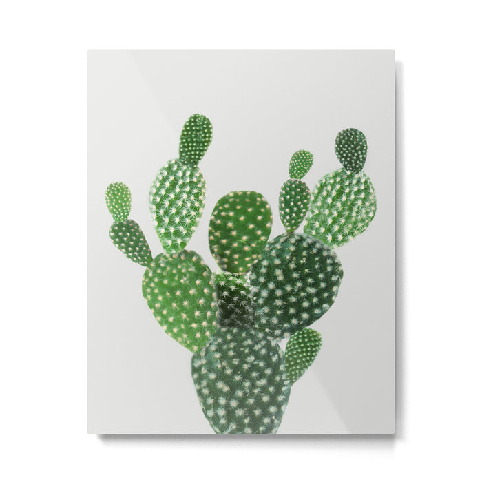Cactus II Metal Print Gallery Image 1