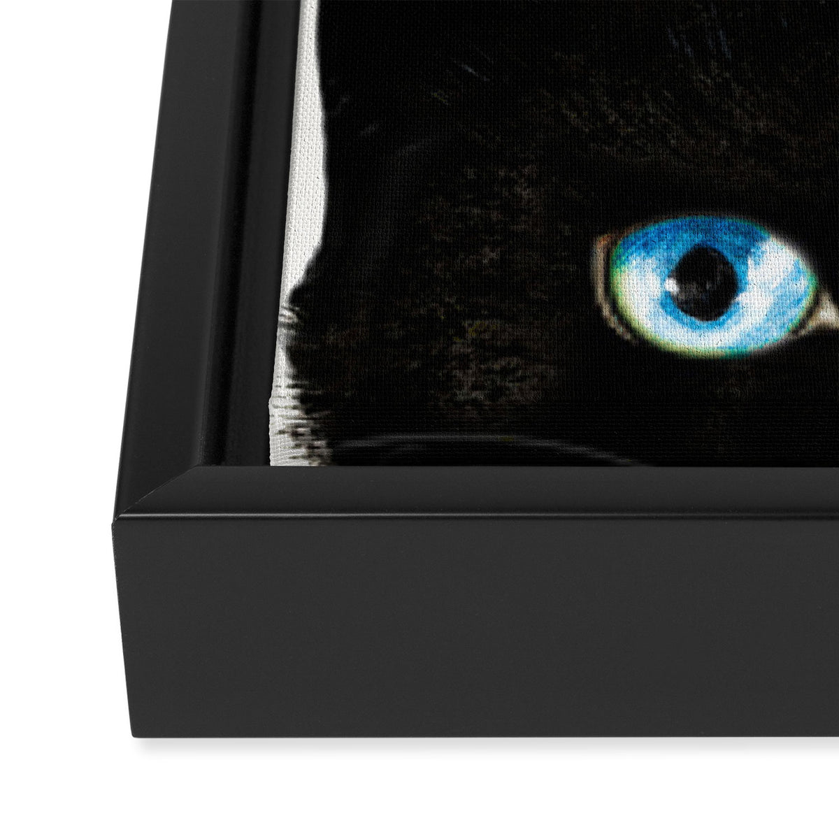 Cat and Bird Framed Canvas Print Gallery Image 3