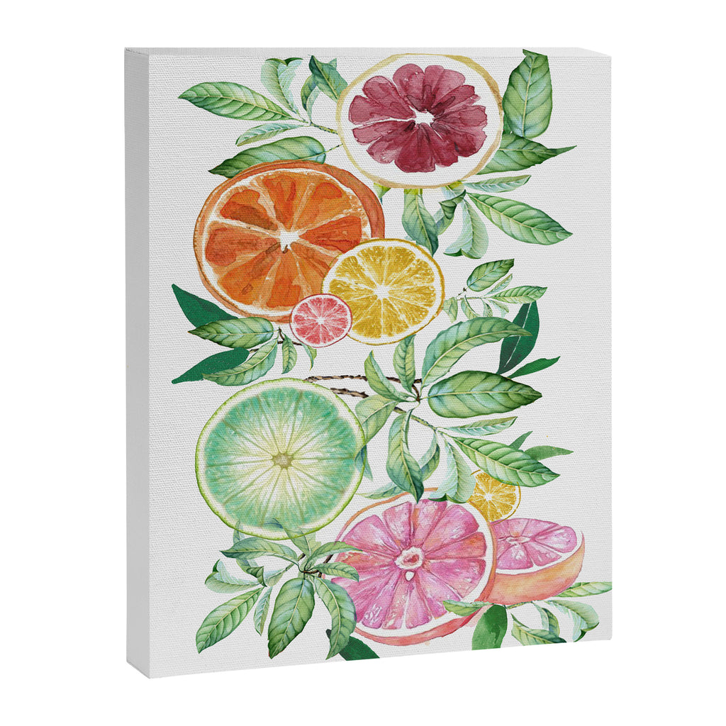Citrus Fruit Canvas Print Gallery Image 6
