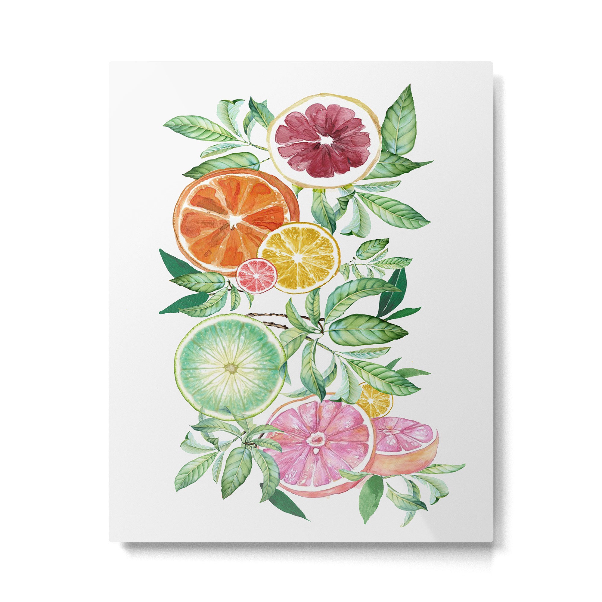 Citrus Fruit Metal Print Gallery Image 4