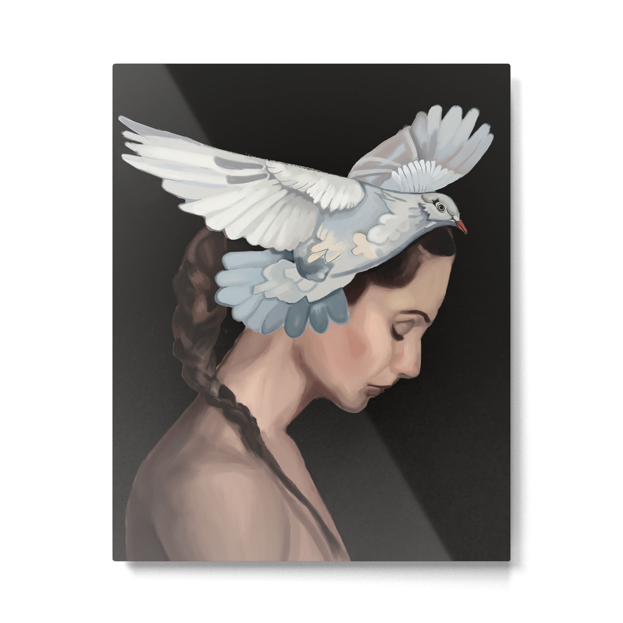 Dove 1 Metal Print Gallery Image 4
