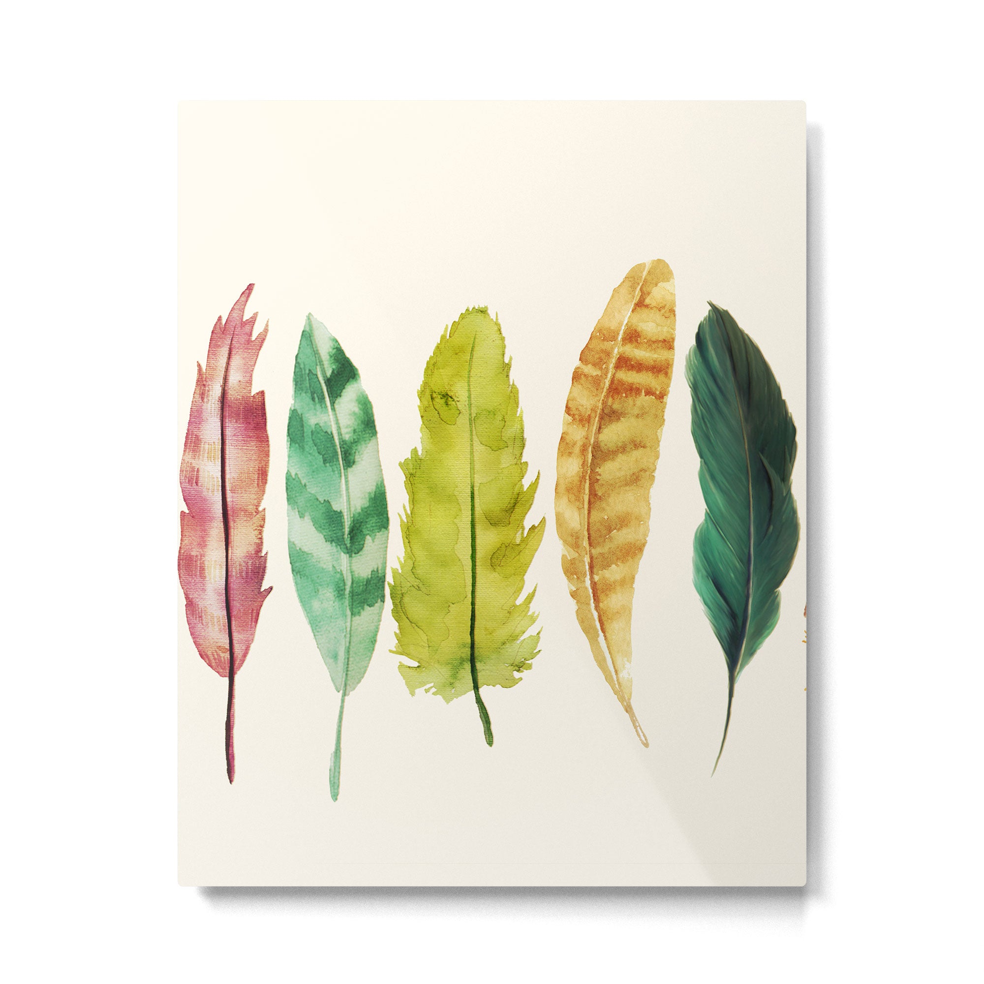 Feathers Metal Print Gallery Image 4