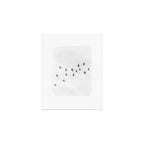 Flock of Birds Art Print Gallery Image 1