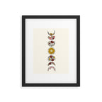 Floral Phases of the Moon Framed Art Print Gallery Image 5