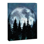 Full Moon II Canvas Print Gallery Image 8