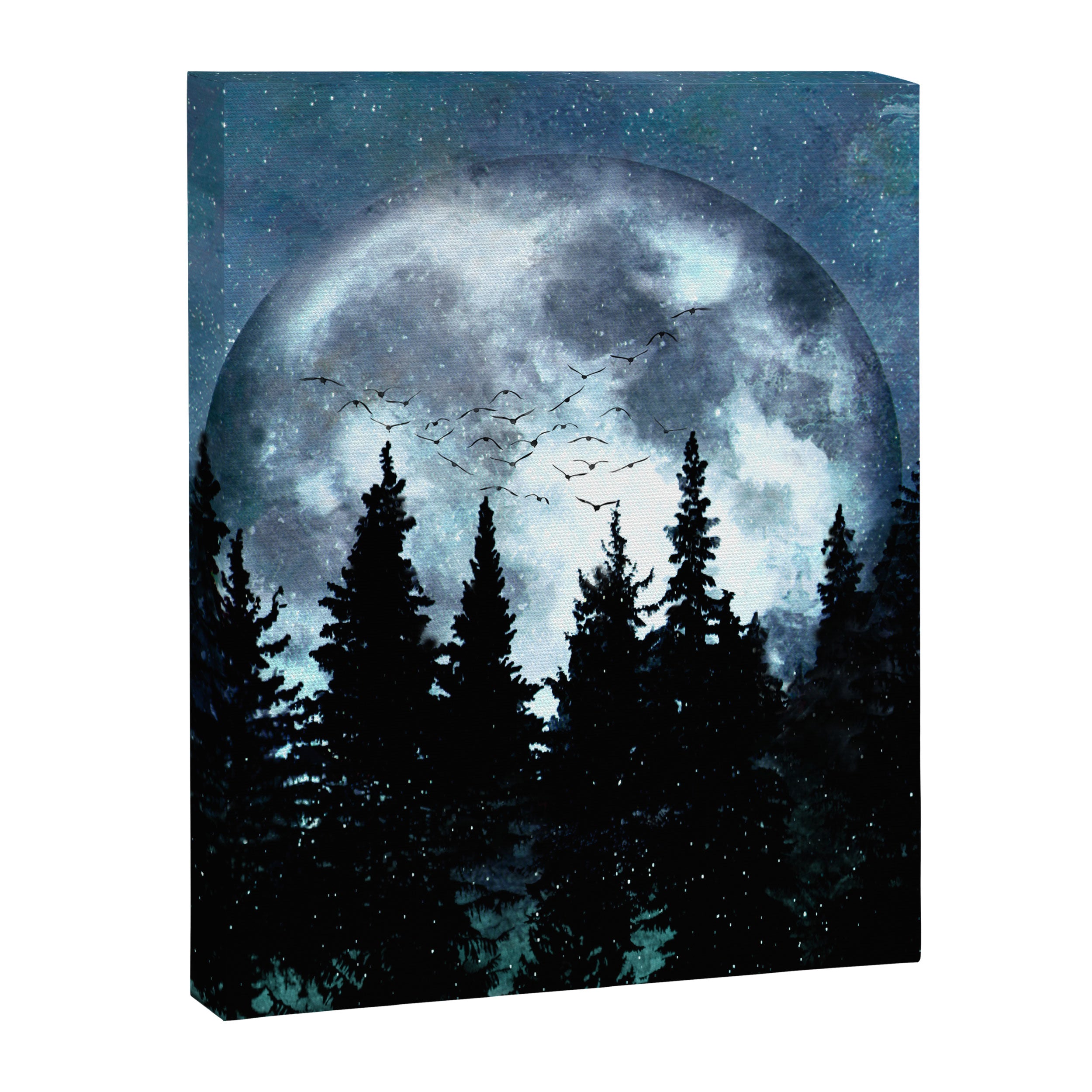 Full Moon II Canvas Print Gallery Image 8