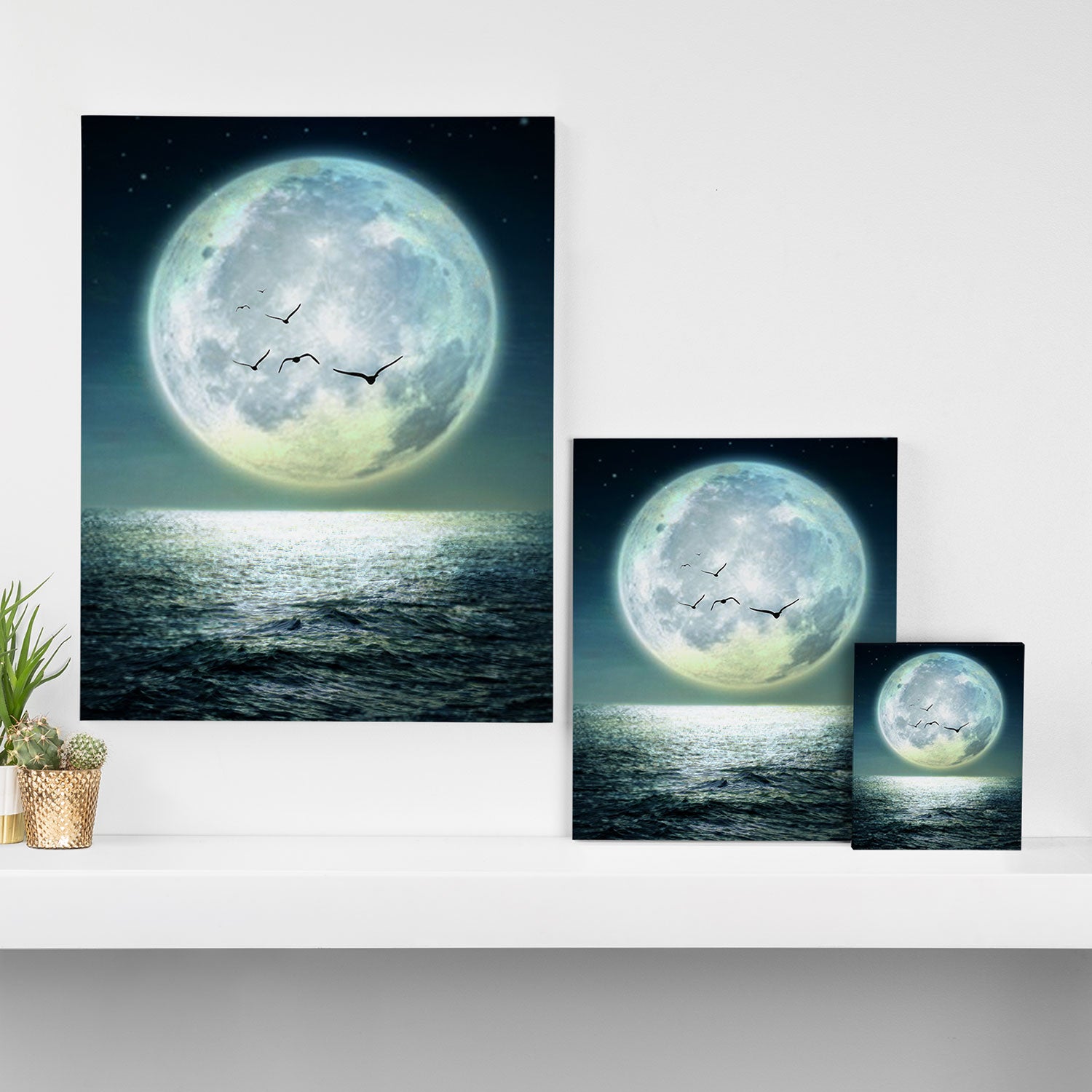 Full Moon Canvas Print Gallery Image 3