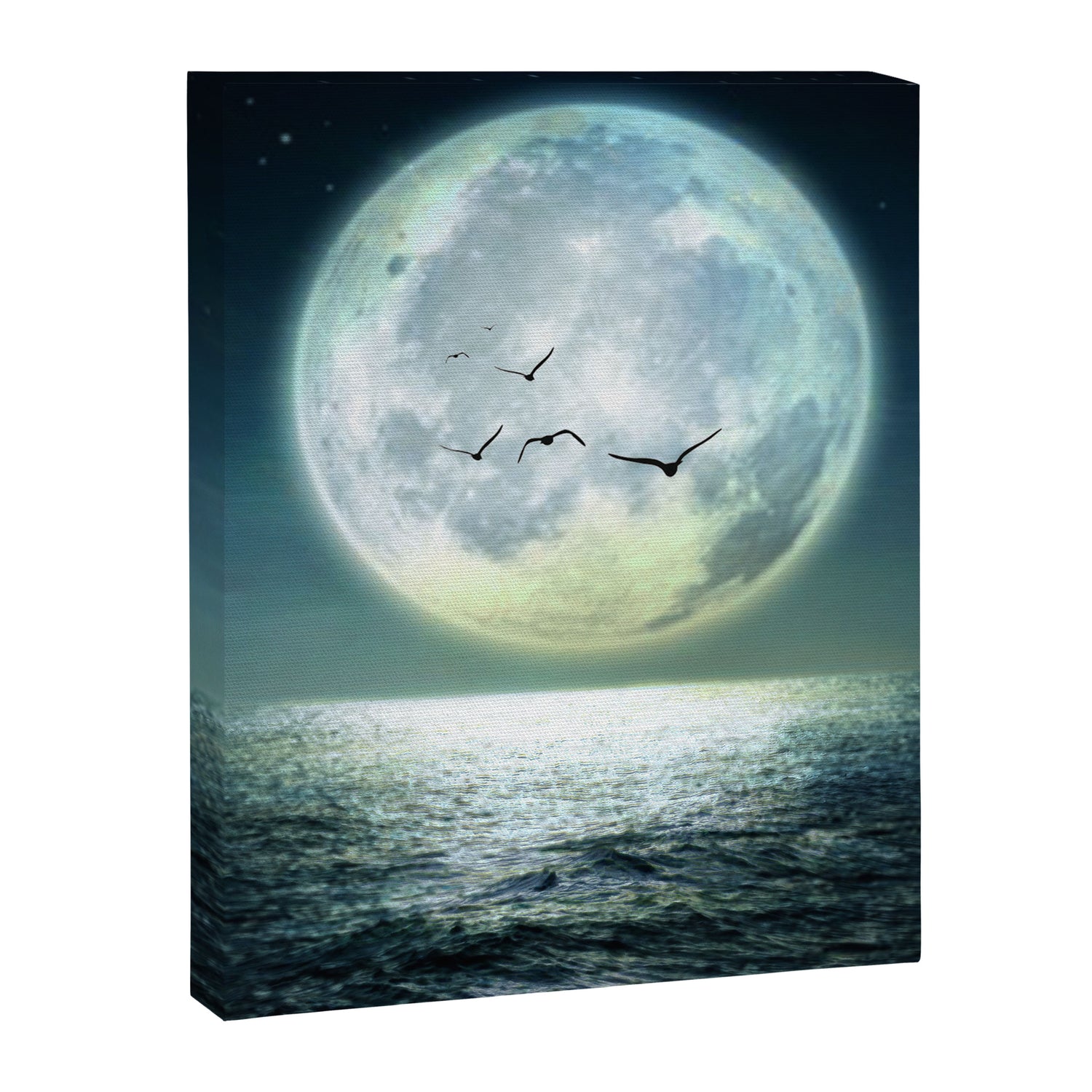 Full Moon Canvas Print Gallery Image 3