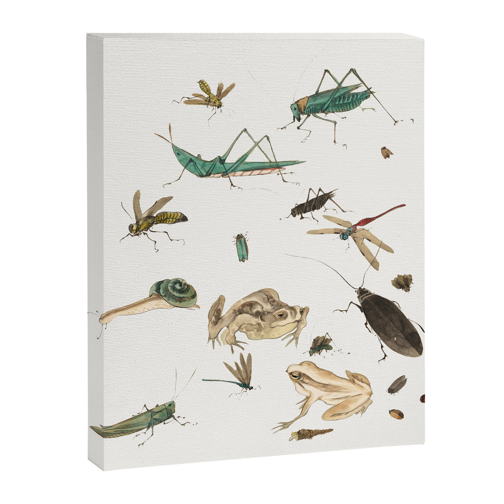 Insects frogs and a snail Canvas Print Gallery Image 6