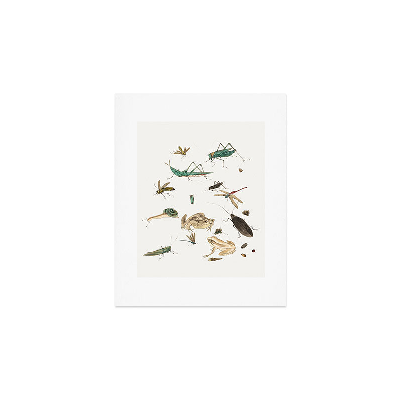 Insects frogs and a snail Art Print Gallery Image 1
