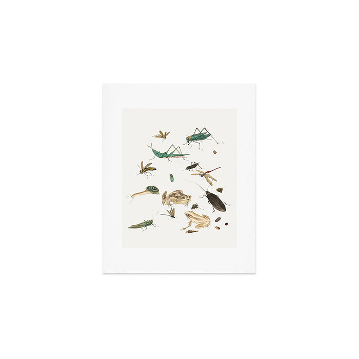 Insects frogs and a snail Art Print Gallery Image 1