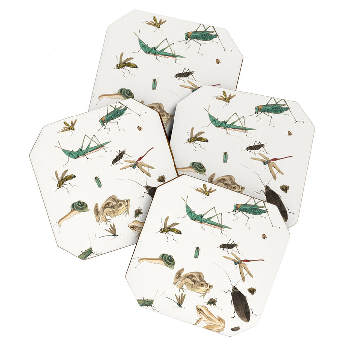 Insects frogs and a snail Coaster Gallery Image 1