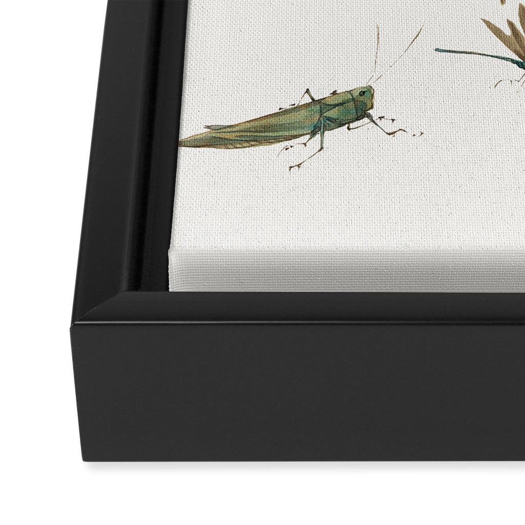 Insects frogs and a snail Framed Canvas Print Gallery Image 3