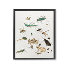 Insects frogs and a snail Framed Canvas Print Gallery Image 6