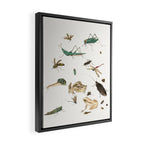 Insects frogs and a snail Framed Canvas Print Gallery Image 2