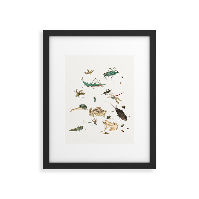 Insects frogs and a snail Framed Art Print Gallery Image 5