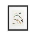 Insects frogs and a snail Framed Art Print Gallery Image 5