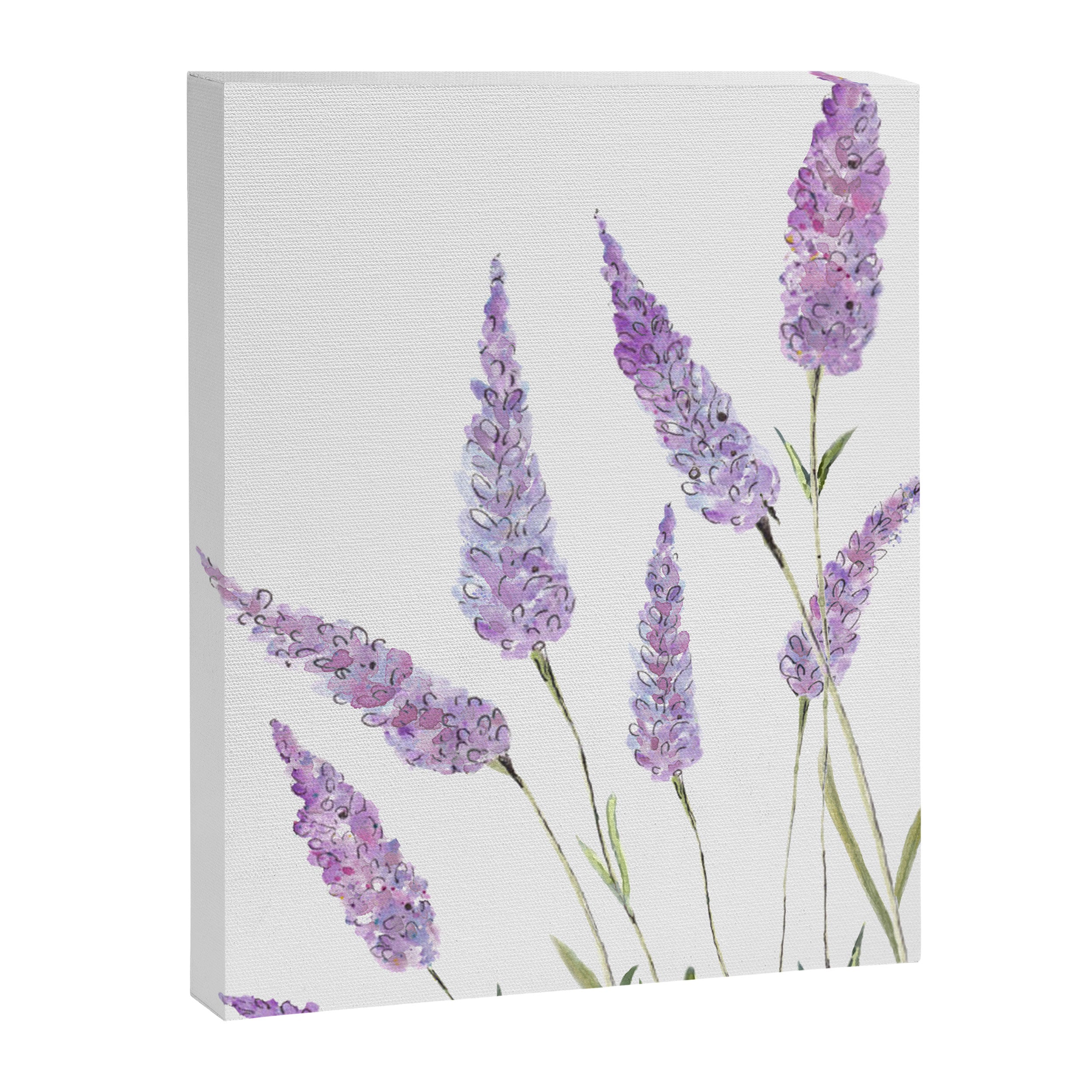 Lavander Canvas Print Gallery Image 6