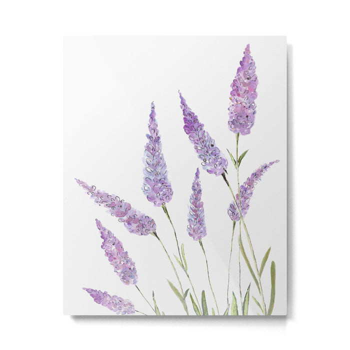 Lavander Metal Print Gallery Image 1