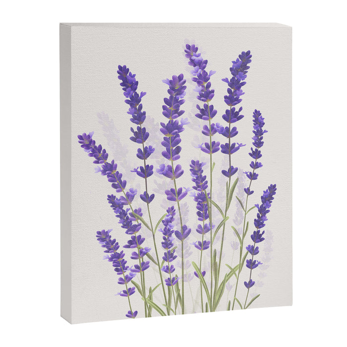 Lavender II Canvas Print Gallery Image 1