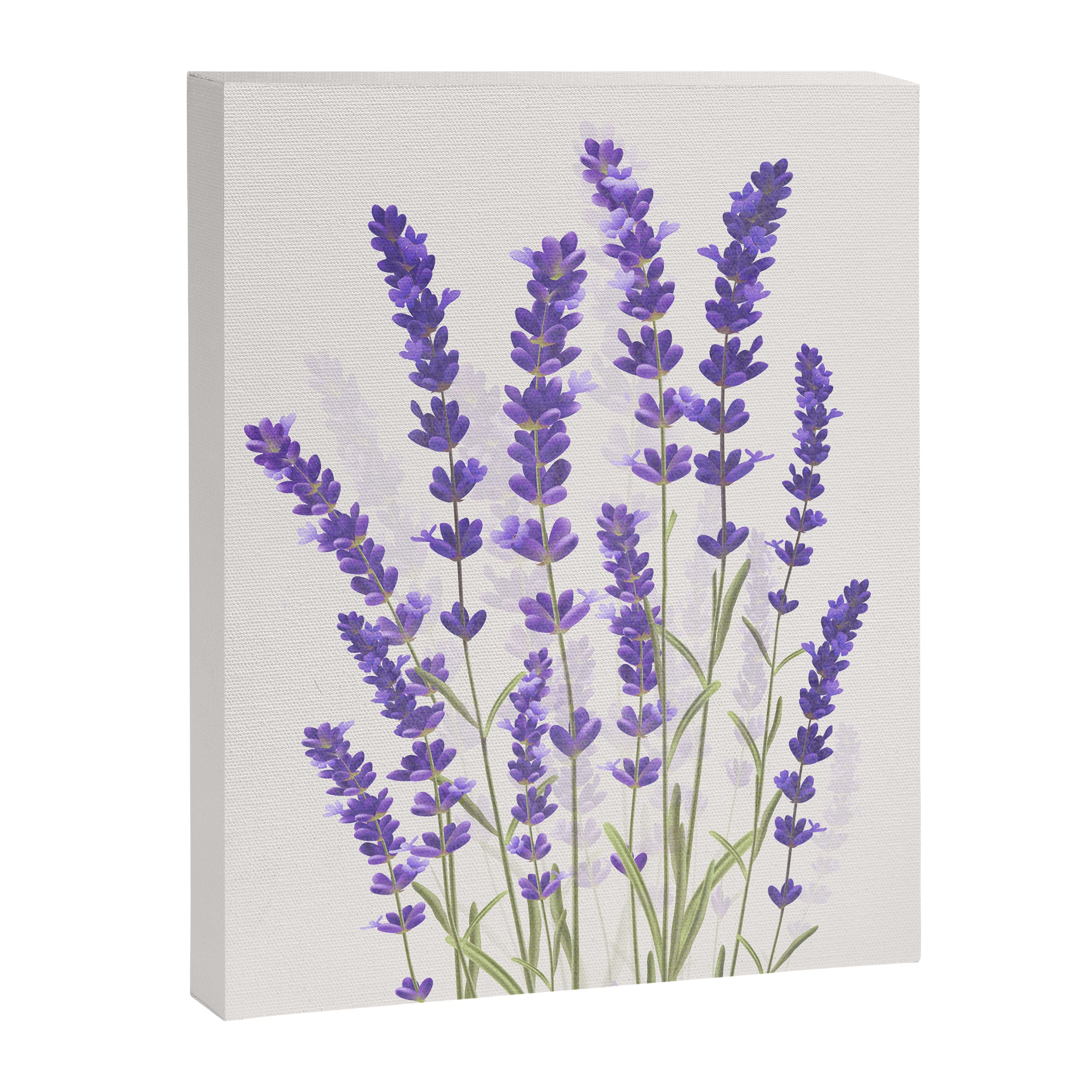 Lavender II Canvas Print Gallery Image 6