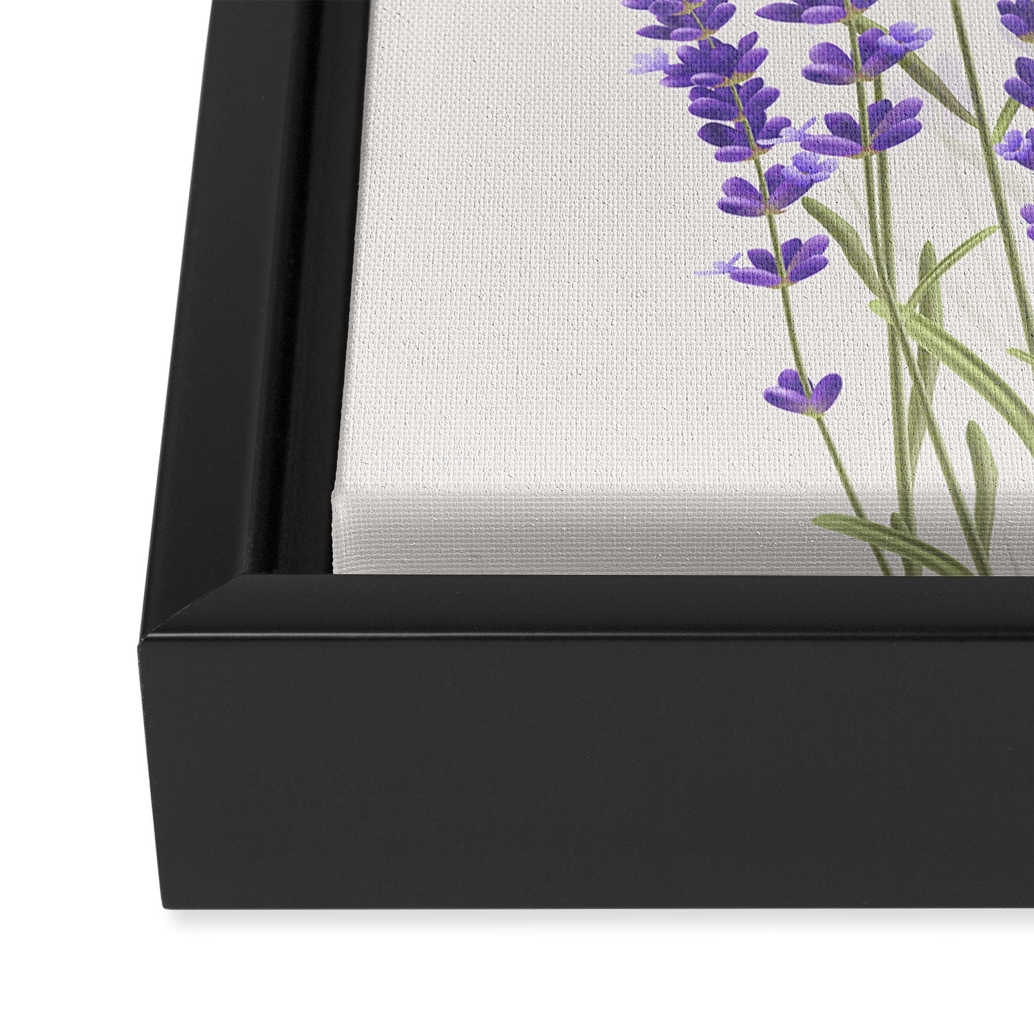 Lavender II Framed Canvas Print Gallery Image 3