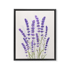 Lavender II Framed Canvas Print Gallery Image 6